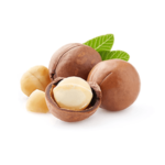Australian Creams MKII Macadamia Oil