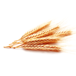 Australian Creams MKII Vitamin E